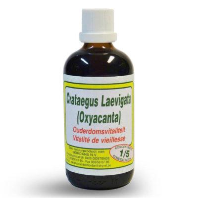 Mordan Crataegus Oxyacantha 1 liter