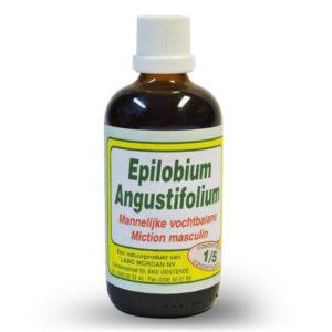 Mordan Epilobium Angustifolium 1 liter