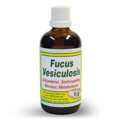 Mordan Fucus Vesiculosis 250 ml