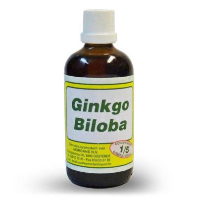 Mordan Ginkgo Biloba 250 ml