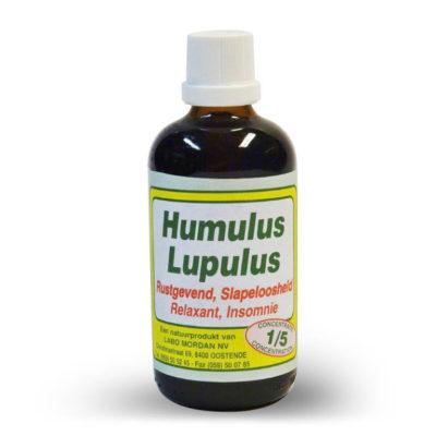Mordan Humulus Lupulus 100 ml