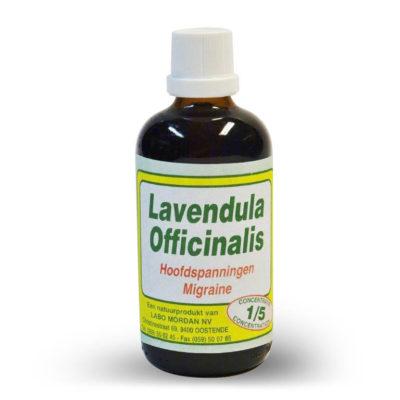 Mordan Lavendula Officinalis 1 liter