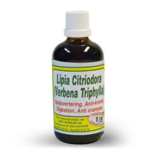 Mordan Lipis Citriodora 100 ml