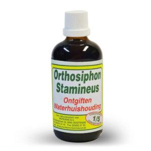 Mordan Orthosiphon Stamineus 1 liter