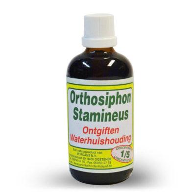 Mordan Orthosiphon Stamineus 1 liter