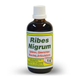 Mordan Ribes Nigrum 250 ml